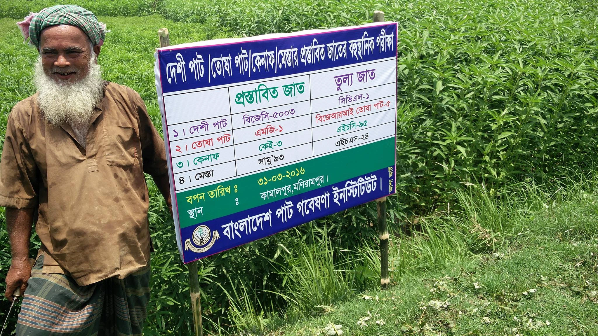 Research on Jute Breeding